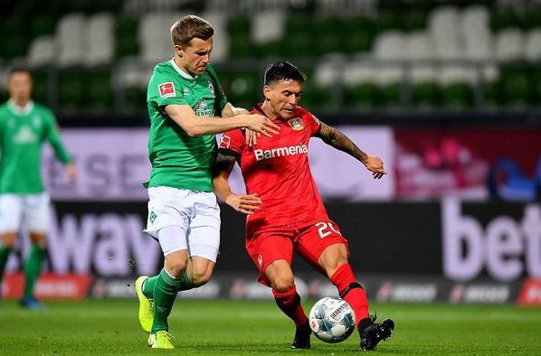 或许是受到 或许是受到